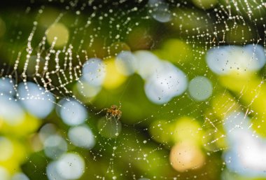 İnci Seine başlıklı manzara 
