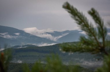 Yaz Karpatları fırtınadan sonra manzara