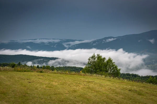 Letní Karpatská Krajina Bouři — Stock fotografie