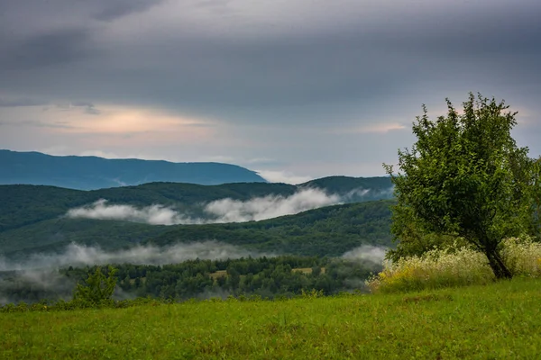 Summer Carpathians Landscape Thunderstorm — Stock Photo, Image