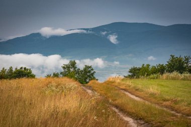 Yaz Karpatları fırtınadan sonra manzara