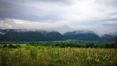 Yaz Karpatları fırtınadan sonra manzara
