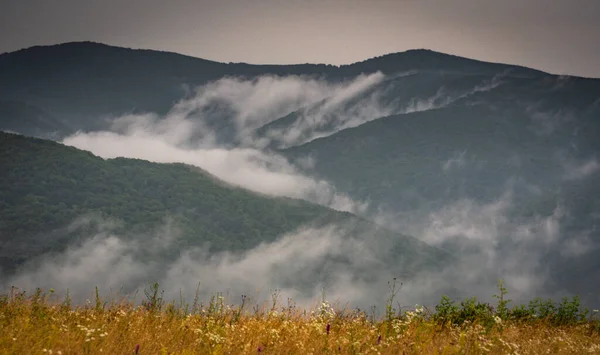 Letní Karpatská Krajina Bouři — Stock fotografie