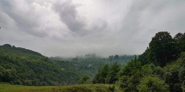 雷雨の後の夏のカルパチアの風景 — ストック写真