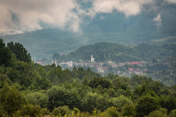 Çalışan bir bitkiyle manzara