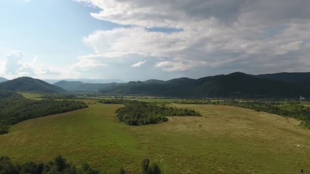 ภาพทางอากาศของผ ชายท าวใน Carpathians — วีดีโอสต็อก
