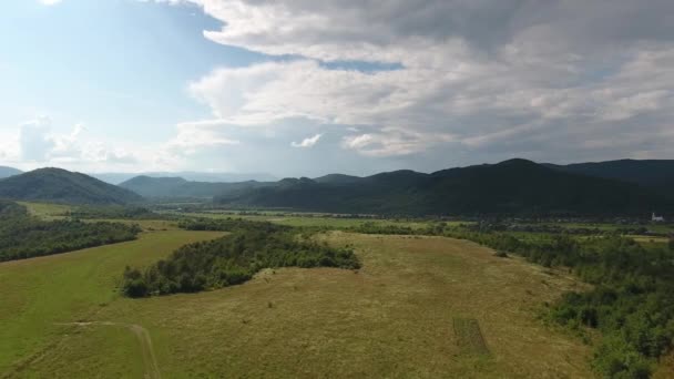 Aerial Photography Summer Landscape Carpathians — Stock Video