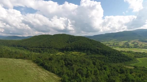 Karpatlar Bir Yaz Manzarasının Havadan Çekilmiş Fotoğrafı — Stok video