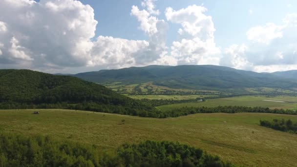 Karpatlar Bir Yaz Manzarasının Havadan Çekilmiş Fotoğrafı — Stok video