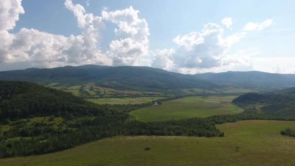 Luftaufnahmen Einer Sommerlandschaft Den Karpaten — Stockvideo