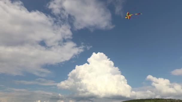Kite Πετούν Στα Βουνά Του Καλοκαιριού — Αρχείο Βίντεο
