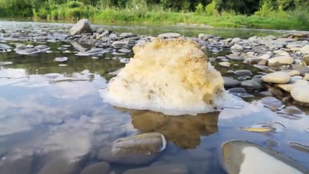 Schaum Einem Gebirgsfluss Der Sonne — Stockvideo