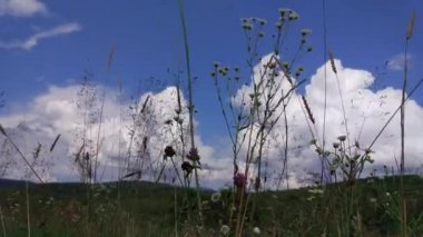 Yaz mevsiminde dağlık bölgelerde hızlandırılmış bulut hareketi