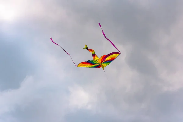 Vol Cerf Volant Dans Les Montagnes Été — Photo