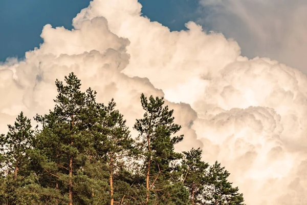 Nuages Orage Dans Ciel Été — Photo