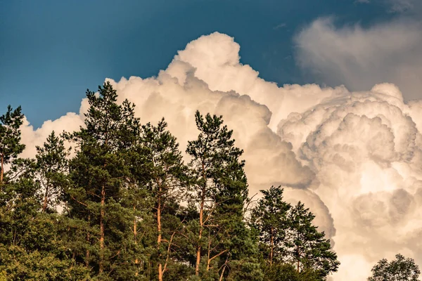 Donderwolken Aan Zomerhemel — Stockfoto