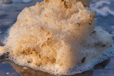 Güneşli bir dağ nehrinde köpük