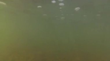 Suyun altındaki dağ nehri.