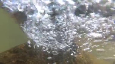 Suyun altındaki dağ nehri.