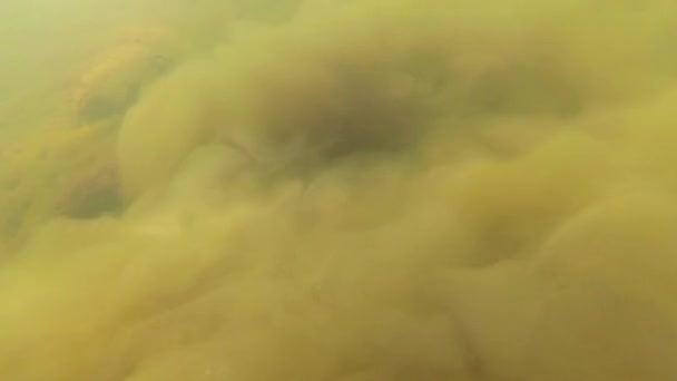 Гірська Річка Під Водою — стокове відео