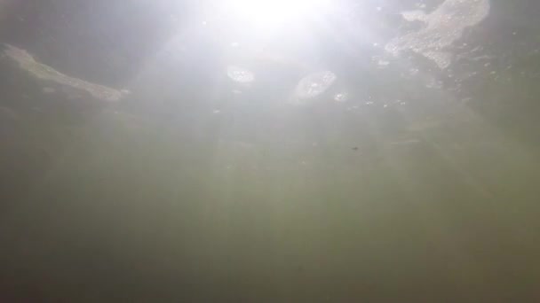 Rivière de montagne sous l'eau tir