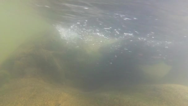 Rivière de montagne sous l'eau tir