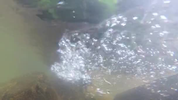 Fiume Montagna Sotto Tiro Acqua — Video Stock