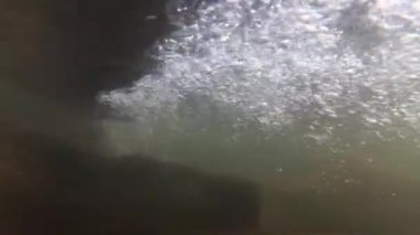 Suyun altındaki dağ nehri.