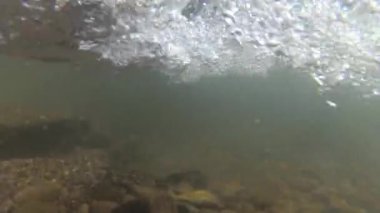 Suyun altındaki dağ nehri.