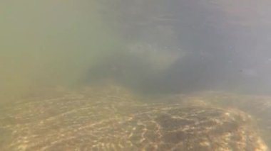 Suyun altındaki dağ nehri.