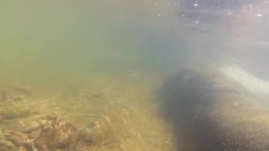 Suyun altındaki dağ nehri.