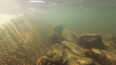 Suyun altındaki dağ nehri.