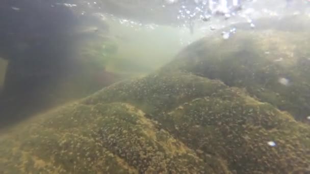 Sungai Pegunungan Bawah Air — Stok Video