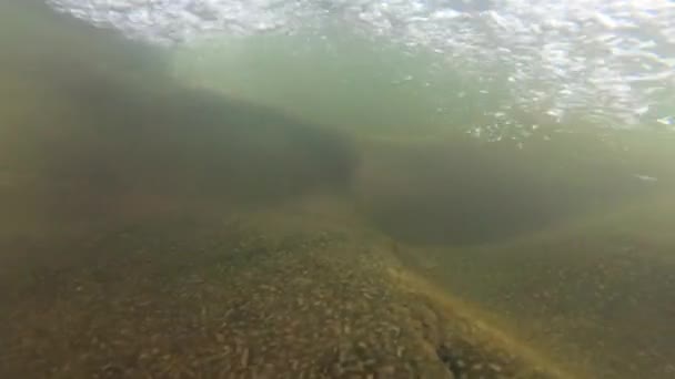 Rivière de montagne sous l'eau tir