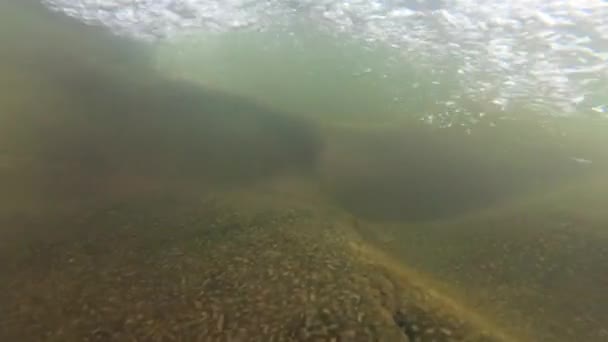 Rivière Montagne Sous Eau Tir — Video