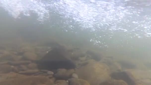 Gebirgsfluss Unter Wasser — Stockvideo