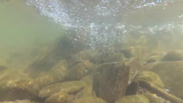 Fiume Montagna Sotto Tiro Acqua — Video Stock