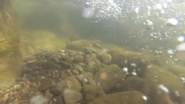 Fiume Montagna Sotto Tiro Acqua — Video Stock