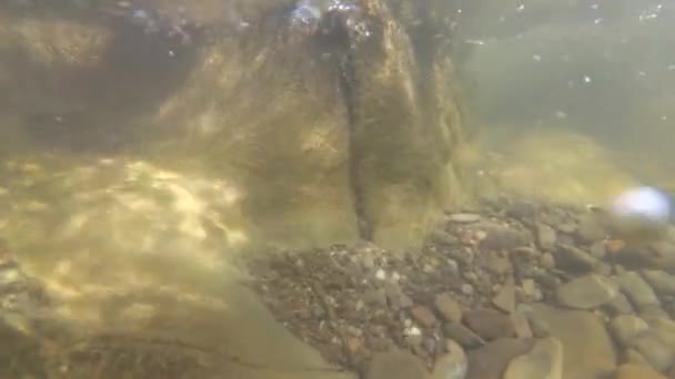 Gebirgsfluss Unter Wasser — Stockvideo