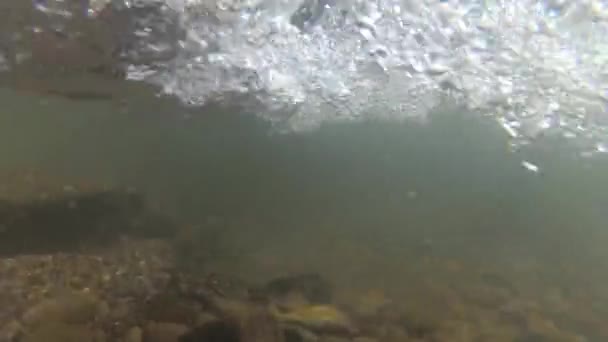 Bergrivier Onder Water Schieten — Stockvideo