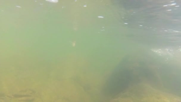 撮影中の山の川 — ストック動画