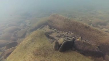 Suyun altındaki dağ nehri.