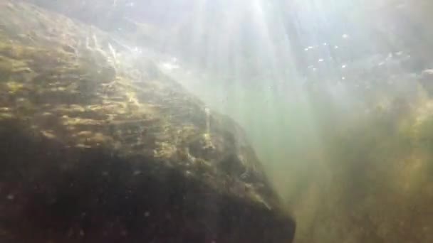 Río Montaña Bajo Agua Tiro — Vídeo de stock