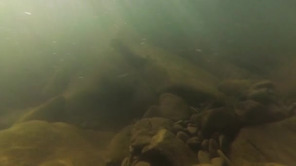 Montanha Rio Debaixo Água Tiro — Vídeo de Stock
