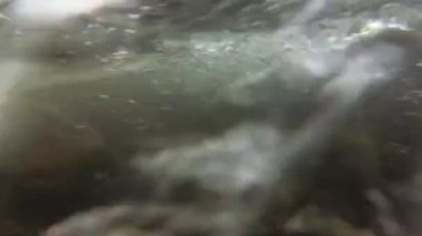 Suyun altındaki dağ nehri.