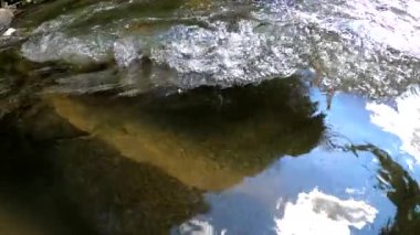 Yazın dağ nehri manzarası