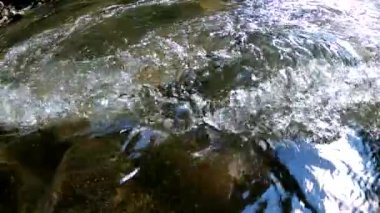 Yazın dağ nehri manzarası