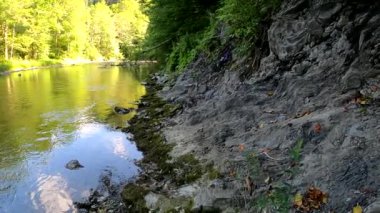 Yazın dağ nehri manzarası
