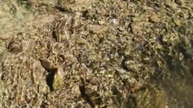 Yazın dağ nehri manzarası