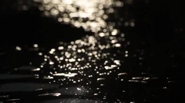 Arka plan için doğada güzel bir bokeh